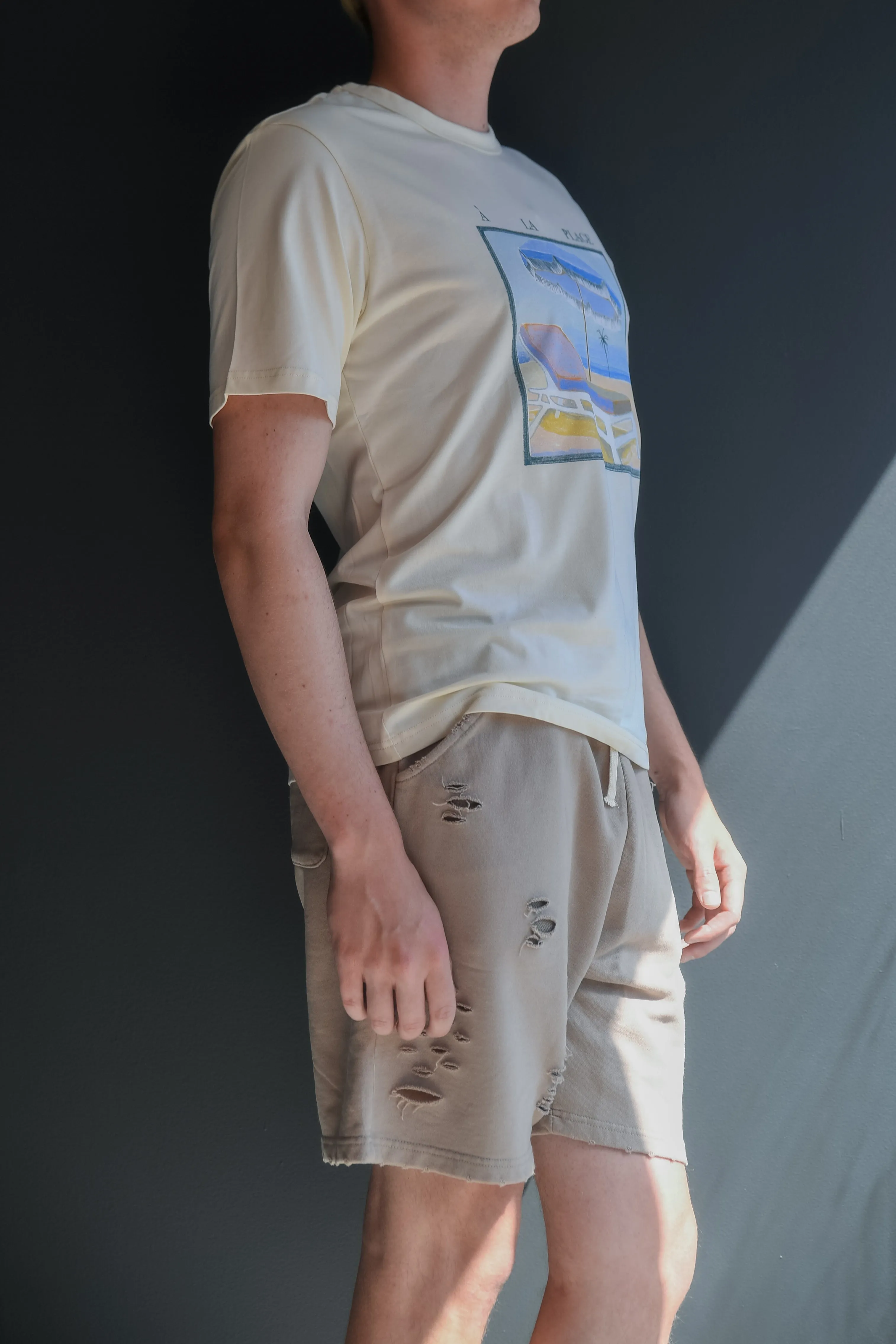 Vizcaya Distressed Shorts