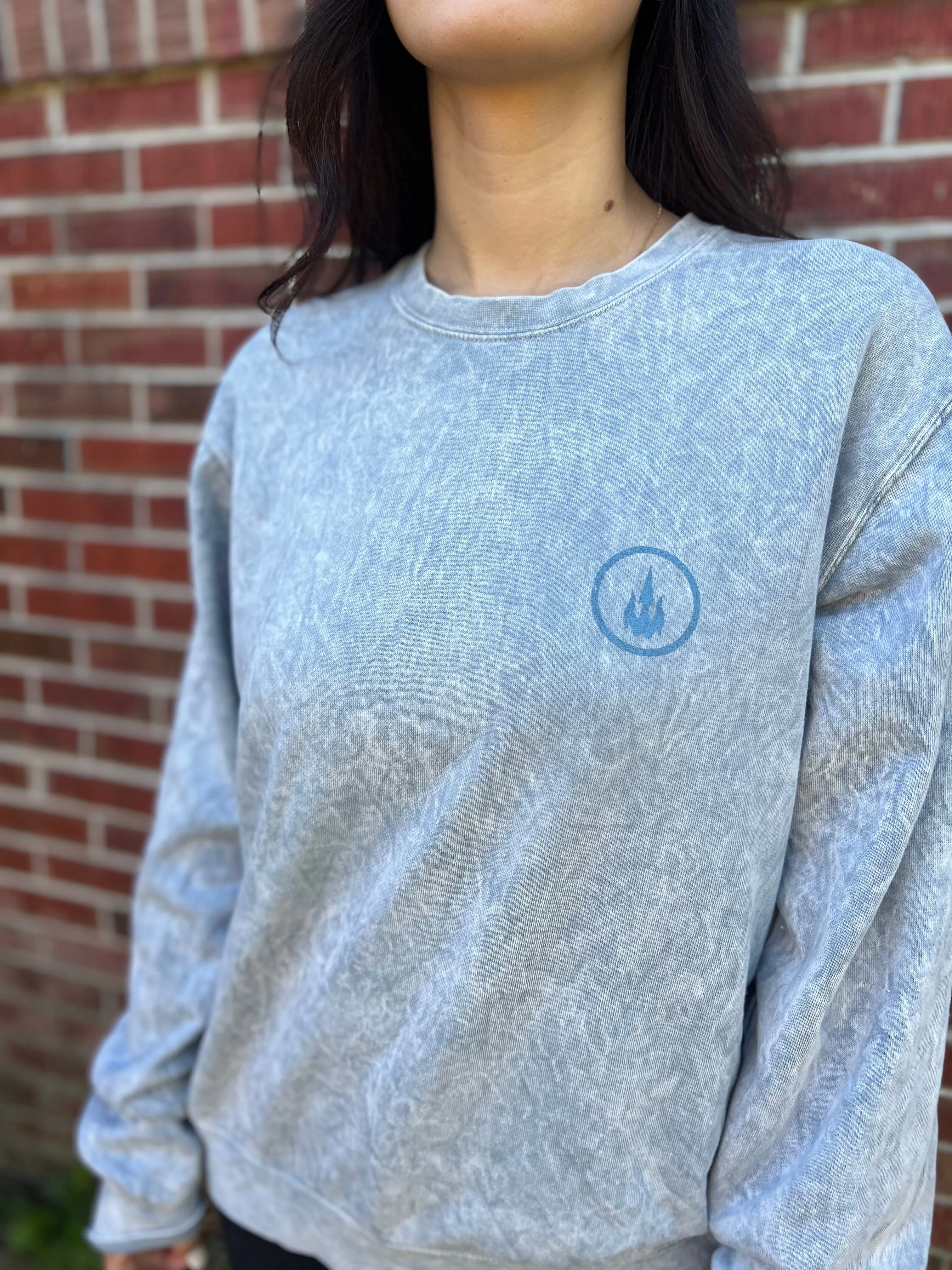 WBZ Circle Trident Crew Neck