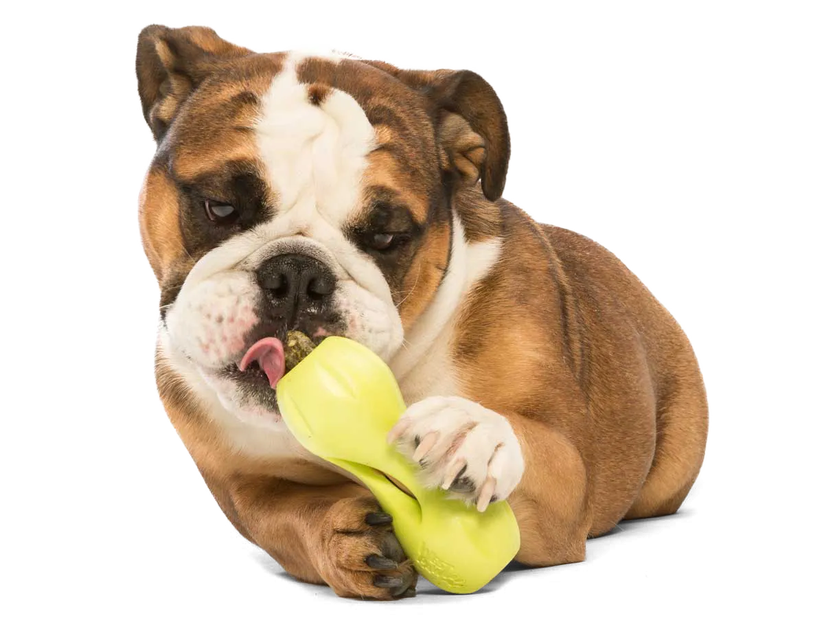 West Paw - Qwizl® Dog Puzzle Treat-Dispensing Enrichment Toy