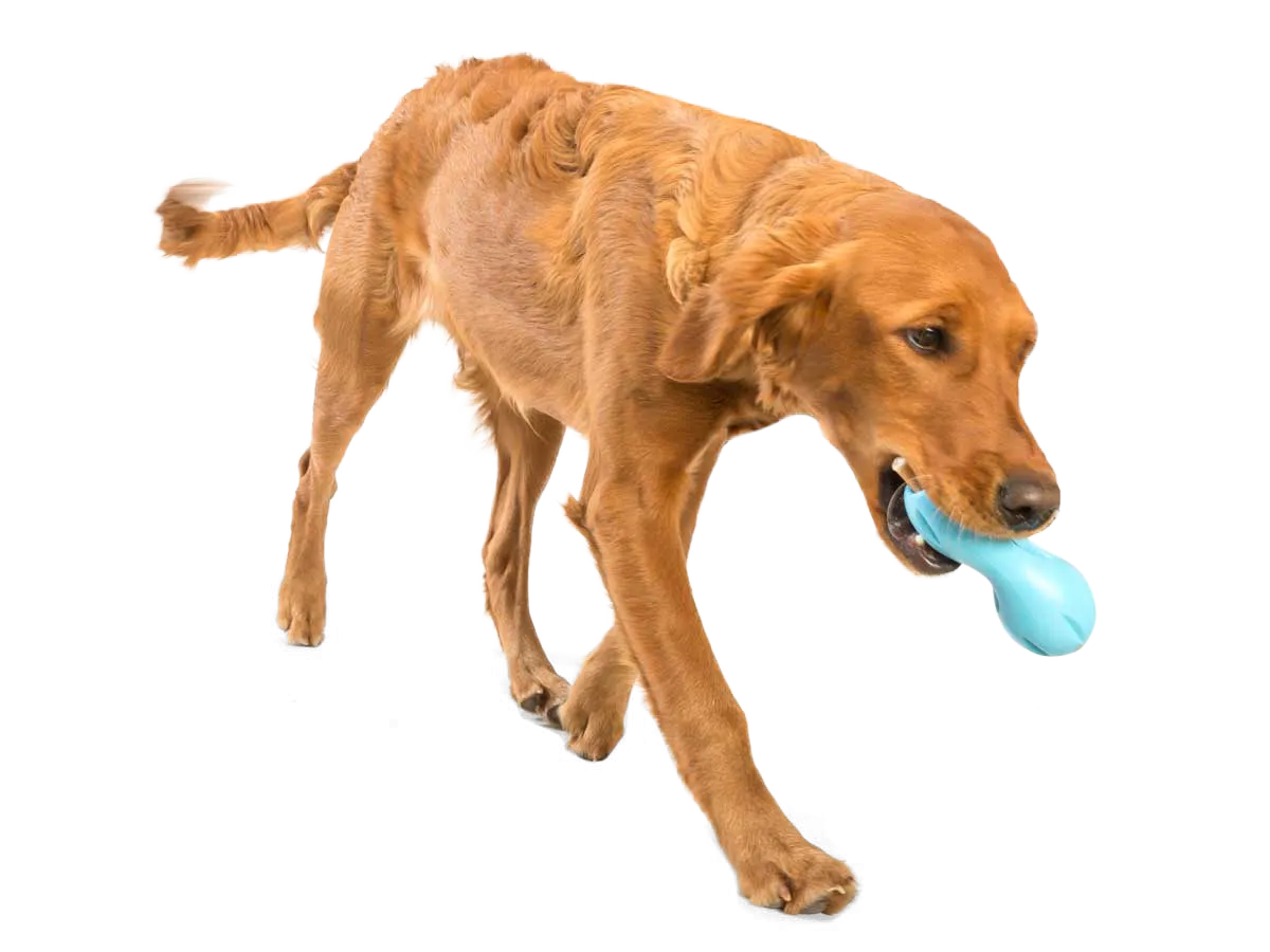 West Paw - Qwizl® Dog Puzzle Treat-Dispensing Enrichment Toy