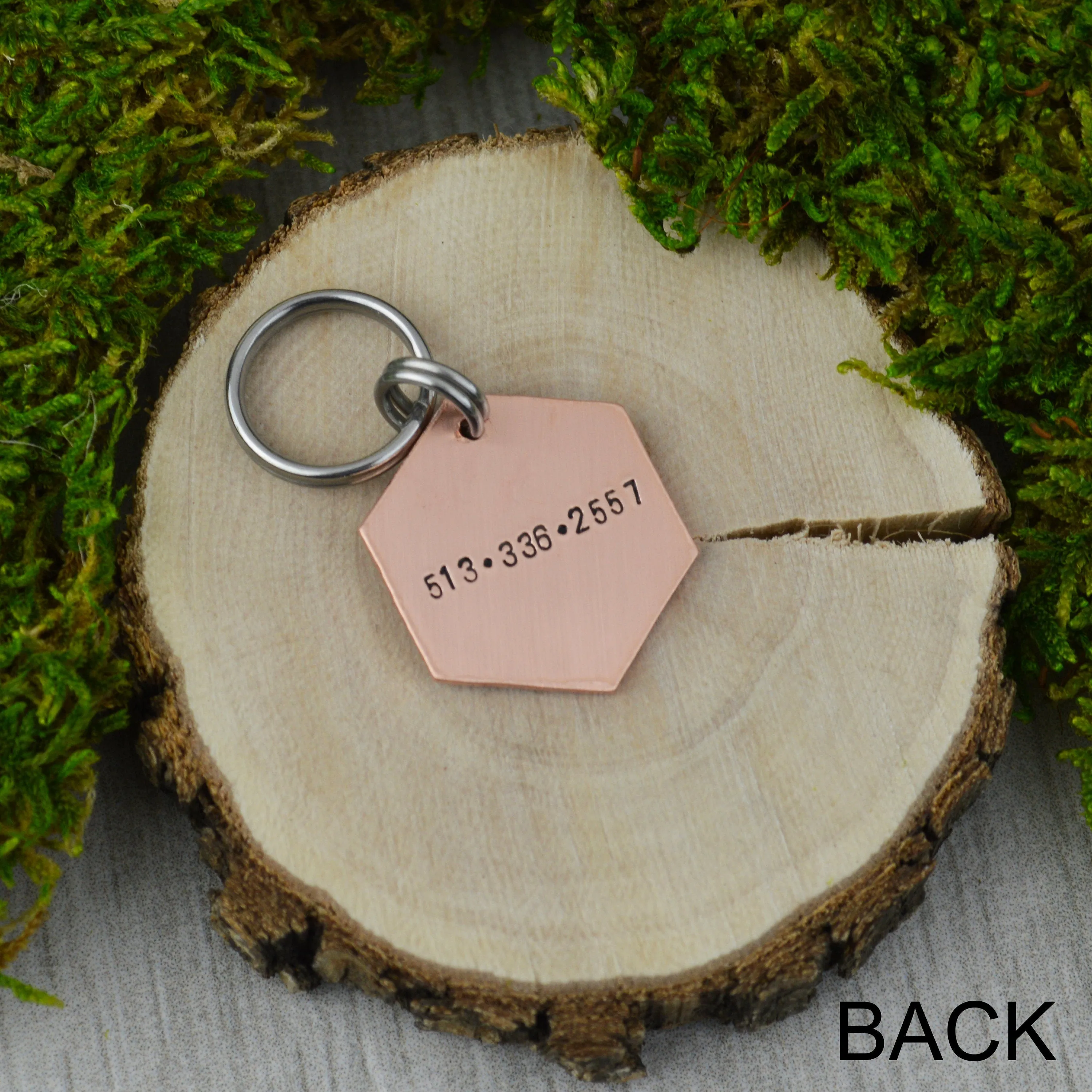 Wilderness At Night Mini Pet ID Tag