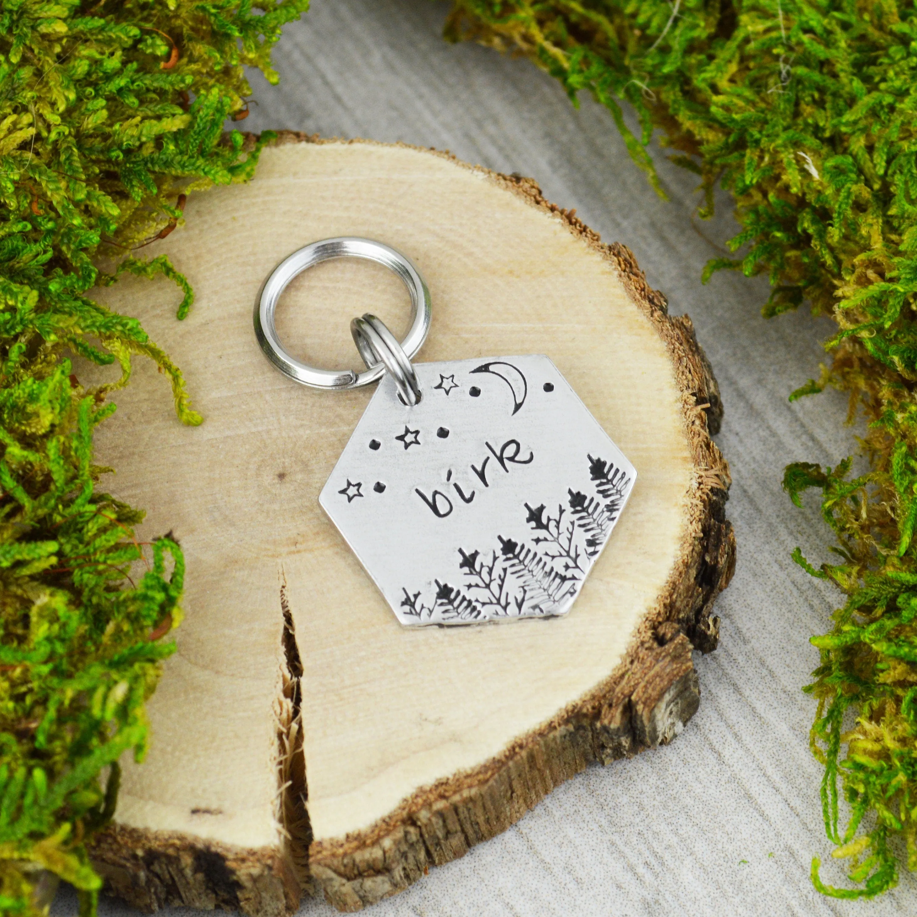 Wilderness At Night Mini Pet ID Tag