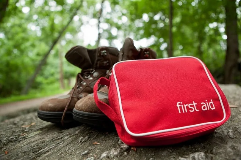 Wilderness First Aid (WFA) in Tahoe