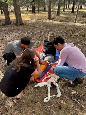 Wilderness First Responder (WFR)