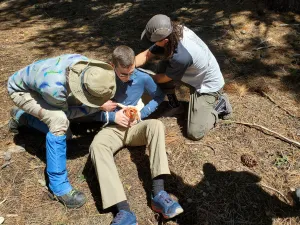 Wilderness First Responder (WFR)