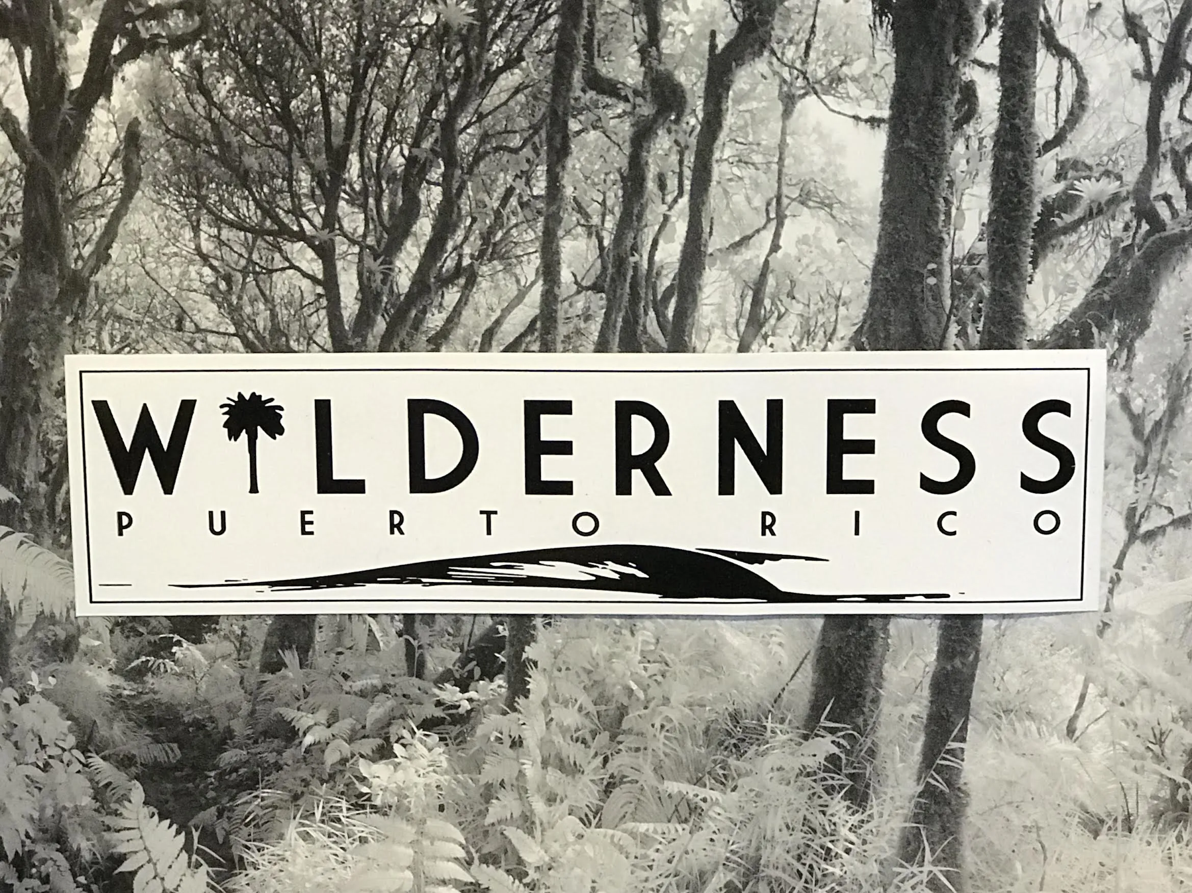 Wilderness