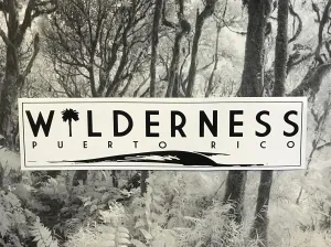 Wilderness