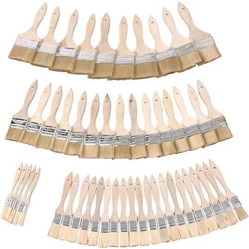 Woodstock D2025 50Pc Bristle Brush Set