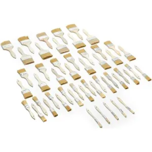 Woodstock D2025 50Pc Bristle Brush Set